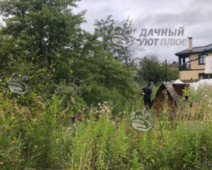 Вид участка до расчистки
