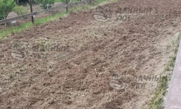 Культивация участка
