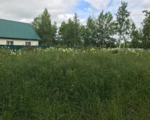 Было