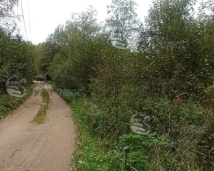 До проведения работ