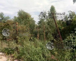 До проведения работ по расчистке участка