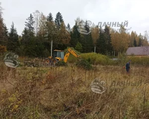 До расчистки