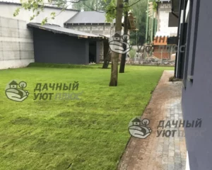 Готовый рулонный газон