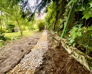 IMG_8939 2