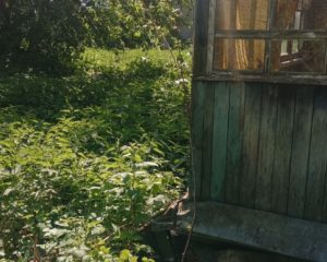 Изображение WhatsApp 2025-06-03 в 11.54.56_ede9c475