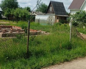 Изображение WhatsApp 2025-06-11 в 12.20.49_af5ccbbd