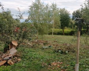 Изображение WhatsApp 2025-09-16 в 15.45.33_64df01c4