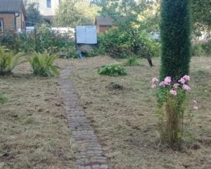 Изображение WhatsApp 2025-09-16 в 16.22.33_a6852e81
