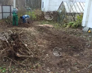 Корчевание