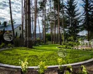 Лужайка