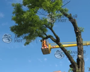 Начало работы