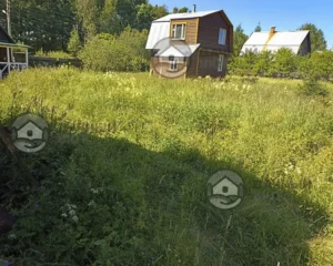 Некошенный участок