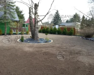Обустройство посевного газона