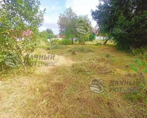 Покошенный участок