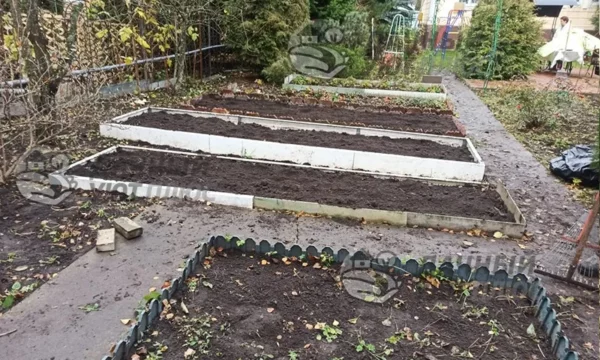 ПОСЛЕ