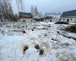 После вырубки