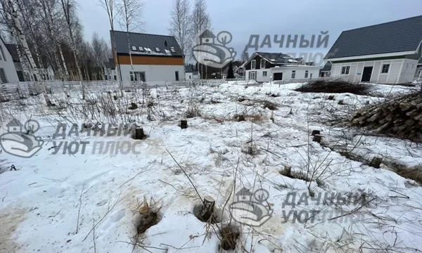После вырубки