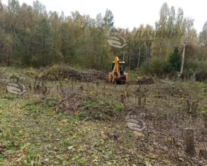 Процесс расчистки участка