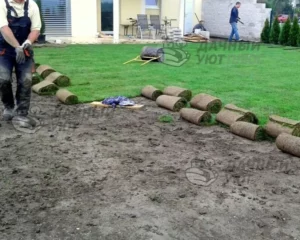 Процесс укладки