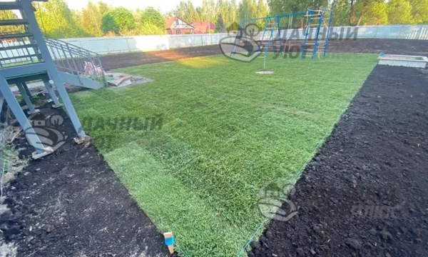 Процесс укладки газона