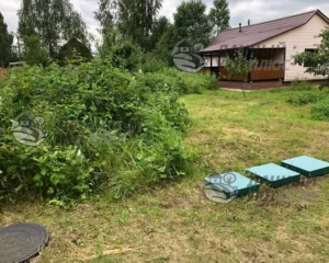 Процесс вырубки кустарника