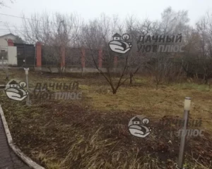 Работы по расчистке участка, вырубке кустарника и покосу травы