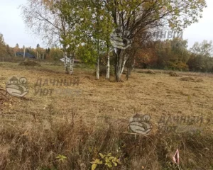 Расчищенный от травы участок