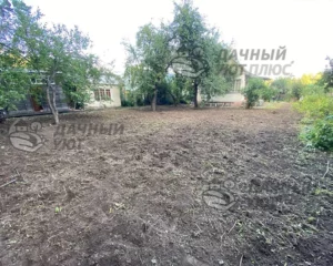 Расчищенный участок