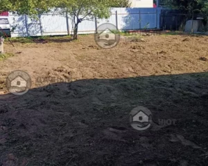 Расчищенный участок