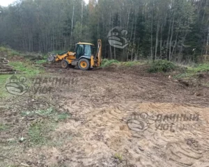 Расчищенный участок