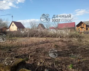 Расчищенный участок