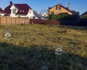 Расчищенный участок