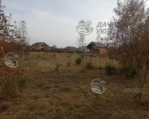 Расчищенный участок