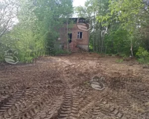 Расчищенный участок