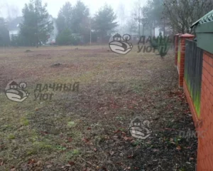 Расчищенный участок от кустов и зарослей