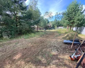 Расчищенный участок от травы и поросли