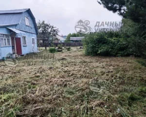 Расчищено от поросли