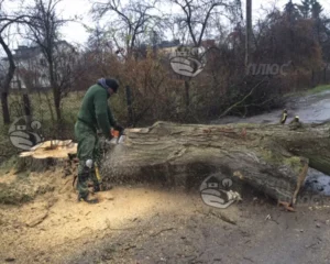 Распил для дальнейшей транспортировки