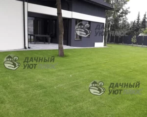 Рулонный газон возле дома
