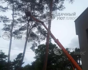 Спил аварийных деревьев