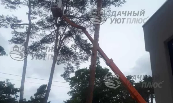 Спил аварийных деревьев
