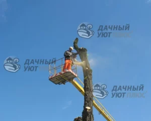 Спил веток