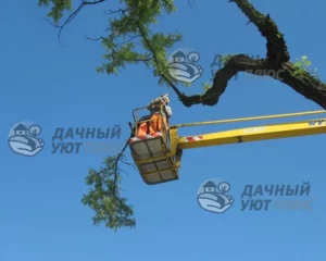 Спил веток арбористом
