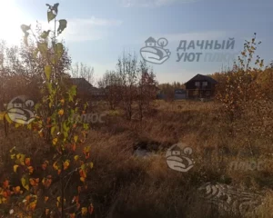Участок до расчистки