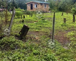 Участок до расчистки