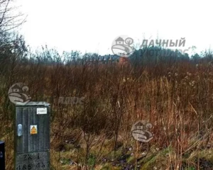 Участок до расчистки