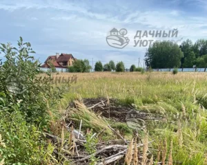 Участок до расчистки и планировки