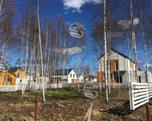 Участок до вырубки деревьев