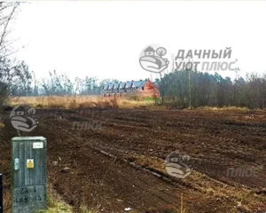 Участок после расчистки