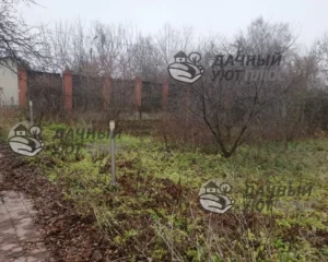 Участок в Отрадное до работ по уборке и расчистке